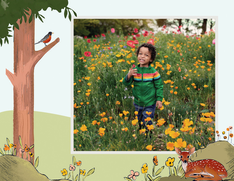 Storybook Seasons Calendar 8x11 undefined  Wall Calendar