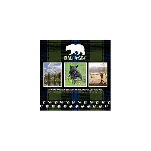 Explore More 10x10 undefined  Premium Album