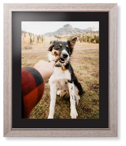 Pet Photo Gallery