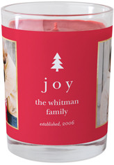 Simple Evergreen Joy