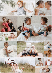 Gallery of Fourteen Portrait