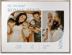 Favorite Infographic