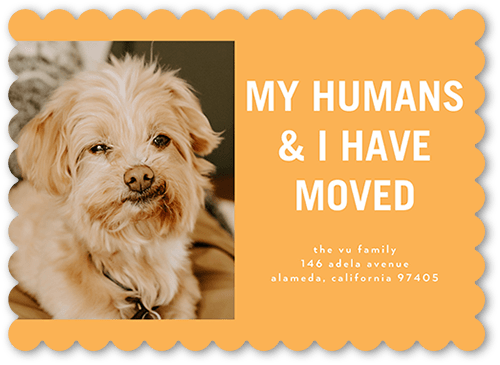 My Humans 5x7 Orange  Moving Announcement
