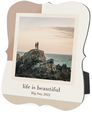 Modern Neutral Light