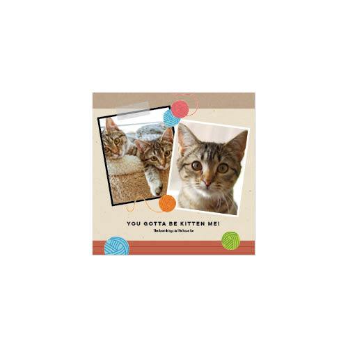 Four Legged Friends 12x12 undefined  Wall Calendar