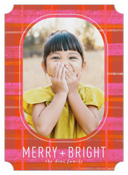 Vibrant Plaid Tidings