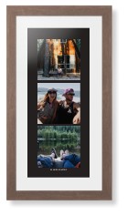 Panoramic Gallery of Three Portrait