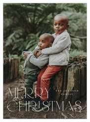 Classic Holiday Elegance