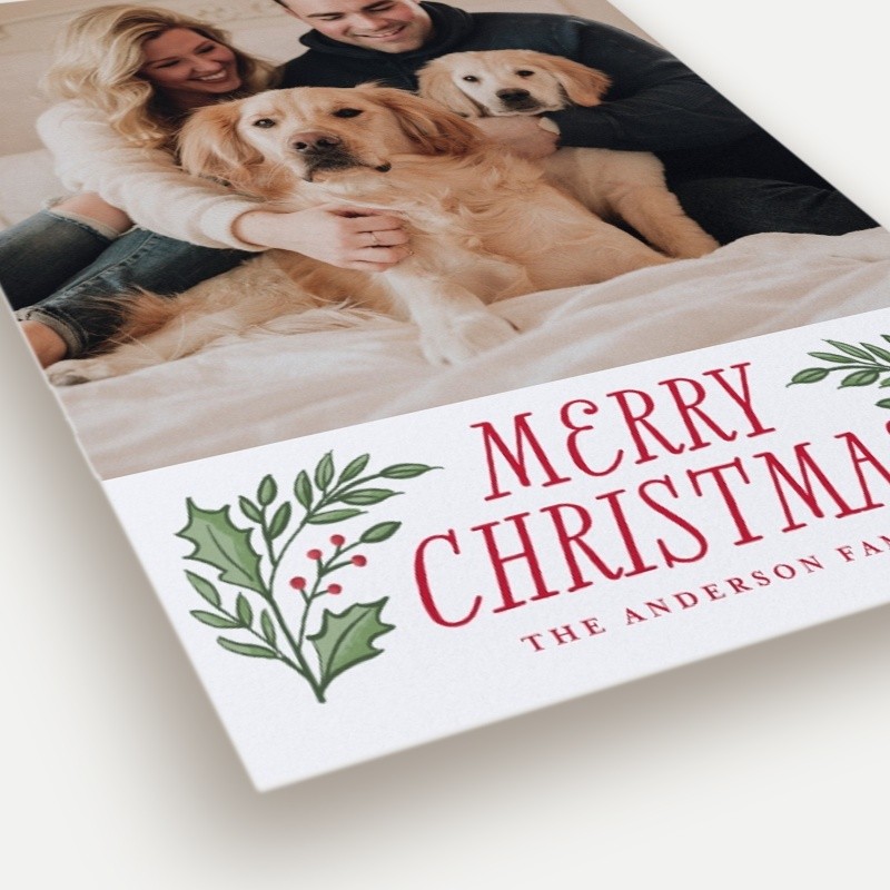 Holly Sprigs Holiday Card