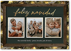 Rustic Evergreen Lights