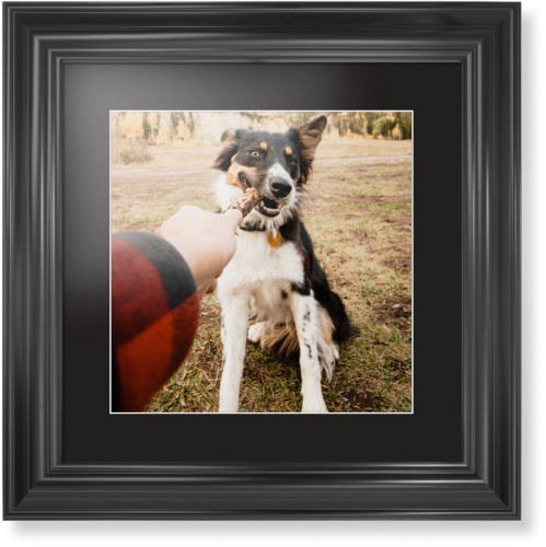 Pet Photo Gallery