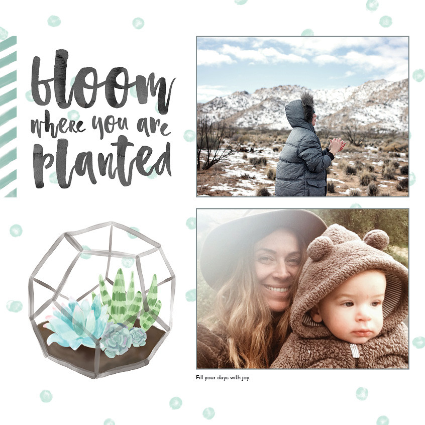 Watercolor Botanicals 12x12 undefined  Wall Calendar