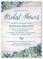 Spectacular Succulents