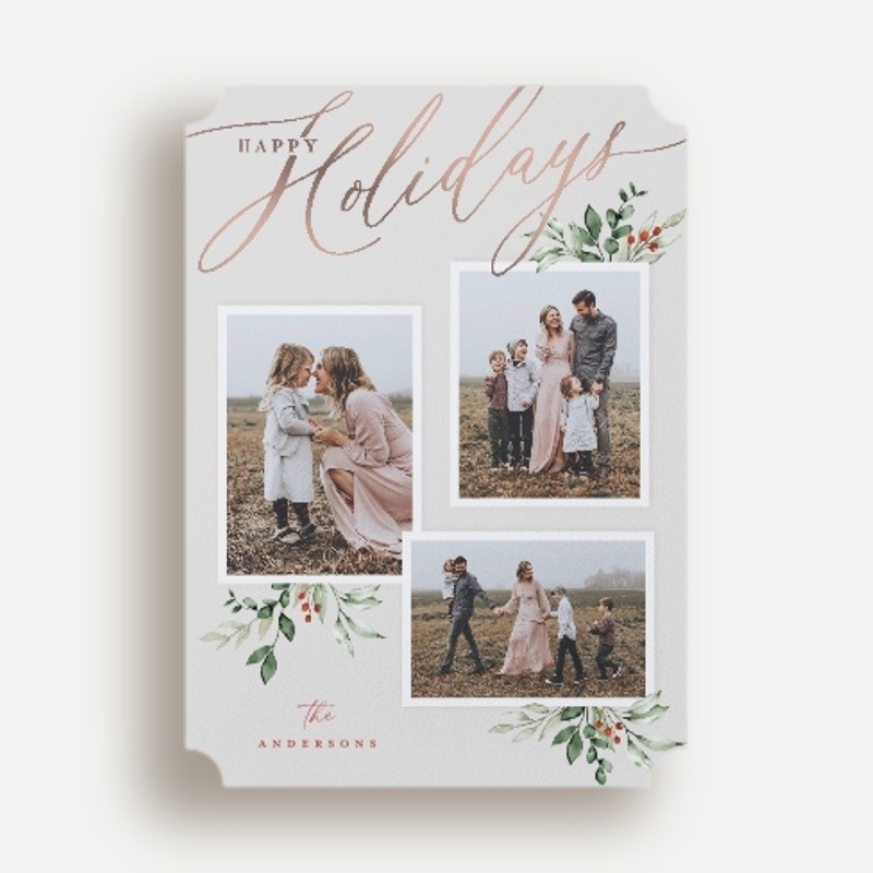 Script and Snapshots