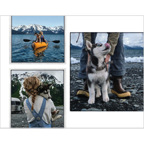 Black and White Gallery Calendar 8x11 undefined  Wall Calendar