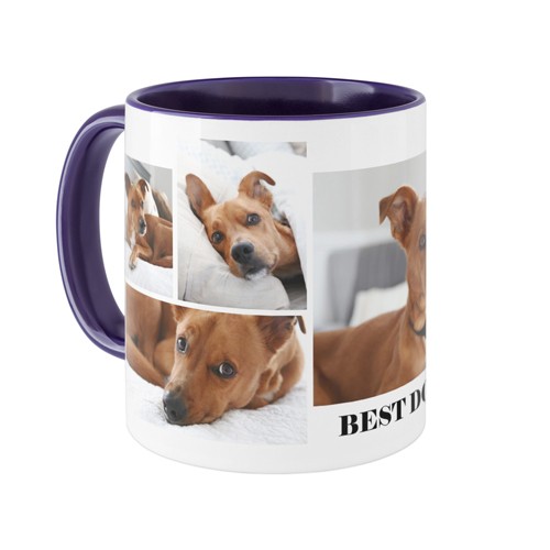 Gallery of Six Pets