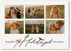 Bird and Holly Berry