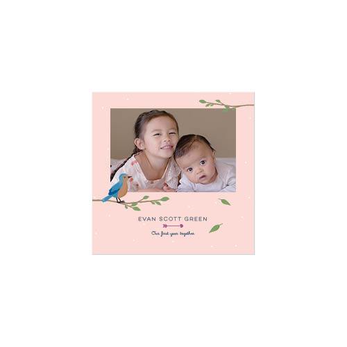 Woodland Baby 10x10 undefined  Premium Album