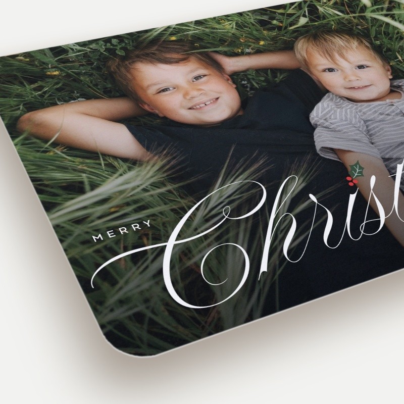 Holly Sprig Holiday Card