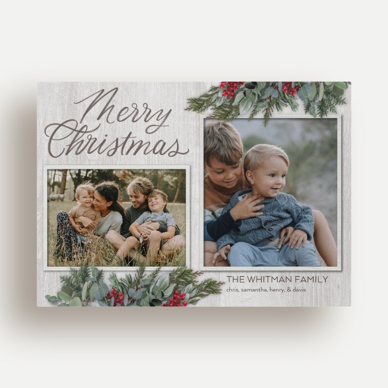Pine Berry Holiday Card