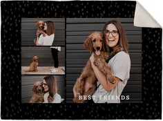 Gallery of Four Filmstrip