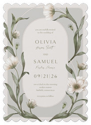 Enveloping Perennial