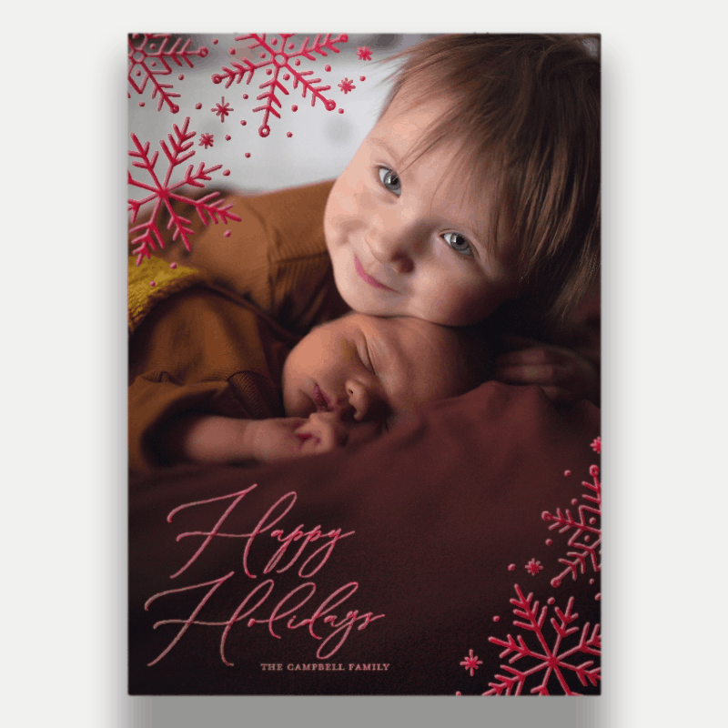 Delicate Flakes Holiday Card