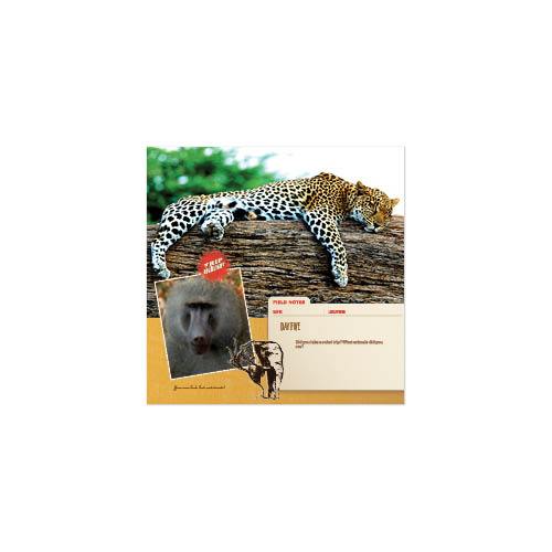 Passport to Africa 8x8 undefined  Premium Album