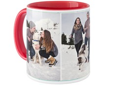 Pets Gallery of Three