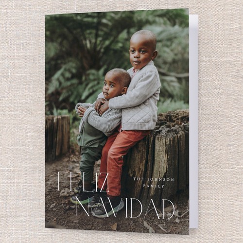 Classic Holiday Elegance