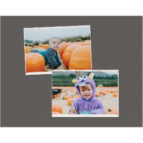 Snapshot Calendar 8x11 undefined  Wall Calendar