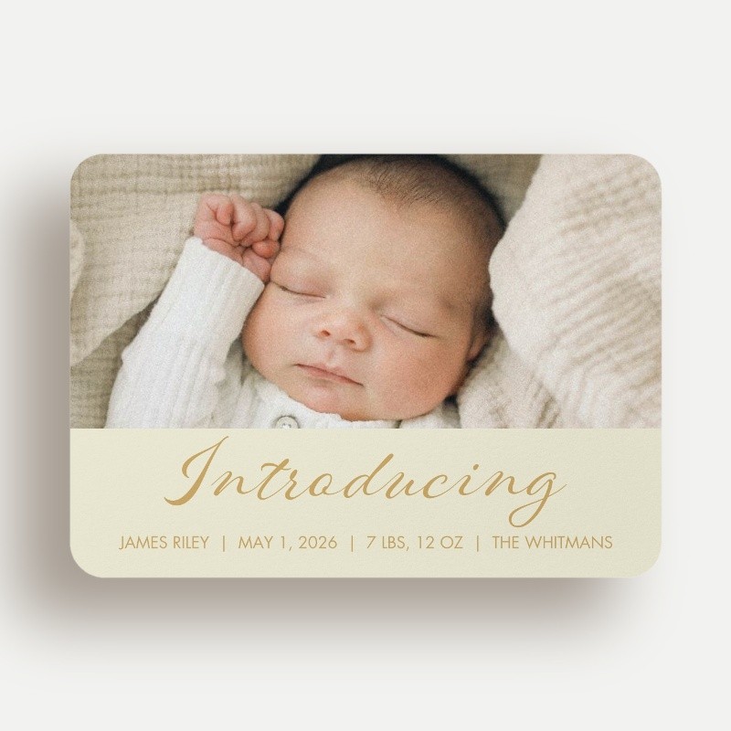 Softly Introducing