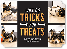 Tricks for Treats