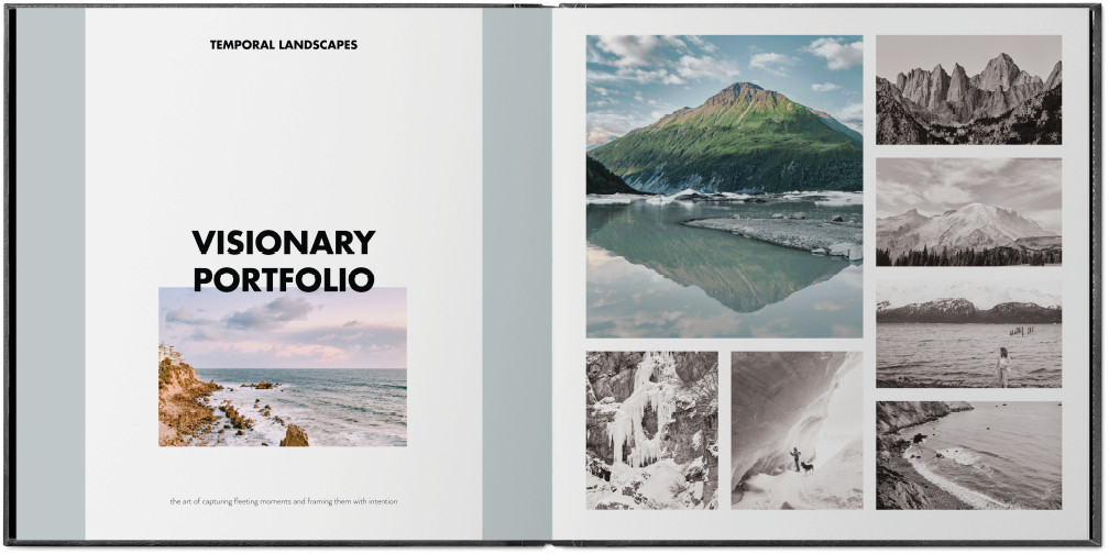 Professional Portfolio