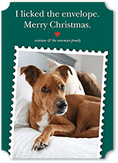 Festive Pet Stamp