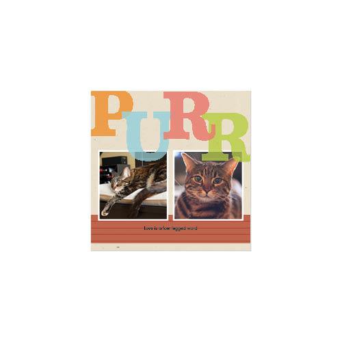 Four Legged Friends 12x12 undefined  Wall Calendar