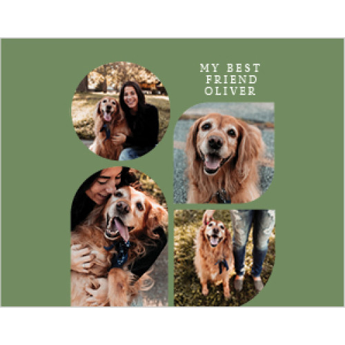 Organic Modern Calendar 8x11 undefined  Wall Calendar