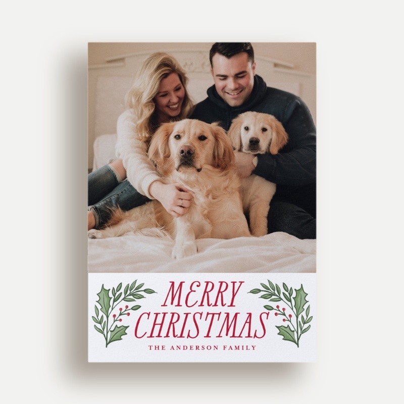 Holly Sprigs Holiday Card