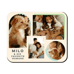 Shape Colored Frames