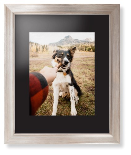 Pet Photo Gallery