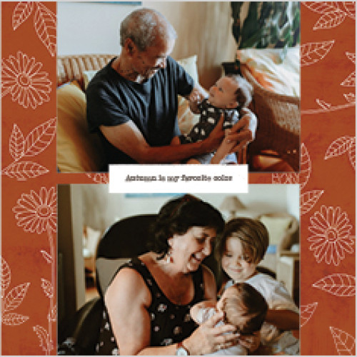 Seasonal Patterns Calendar 12x12 undefined  Wall Calendar