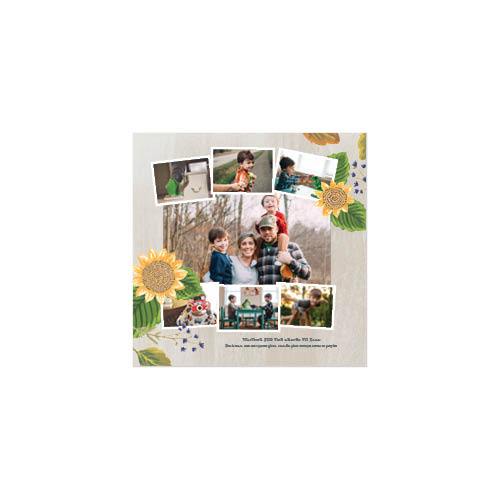 Painted Seasons 12x12 undefined  Premium Album