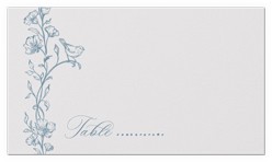 Gentle Ornamented Framework