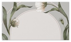 Enveloping Perennial