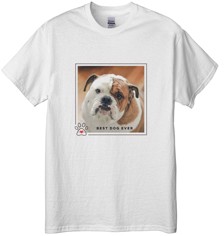 Best In Show Best Dog Ever