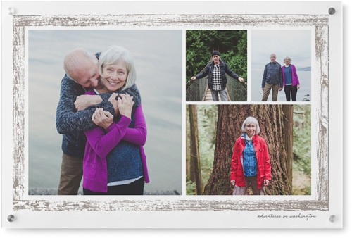 Brushed Border Collage Of Four