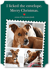 Festive Pet Stamp