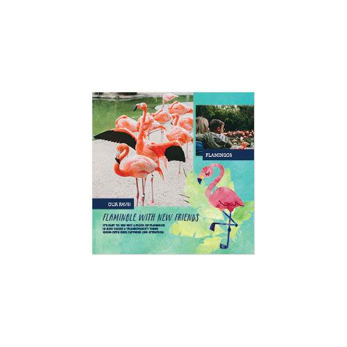 Animal Adventures 8x8 undefined  Premium Album
