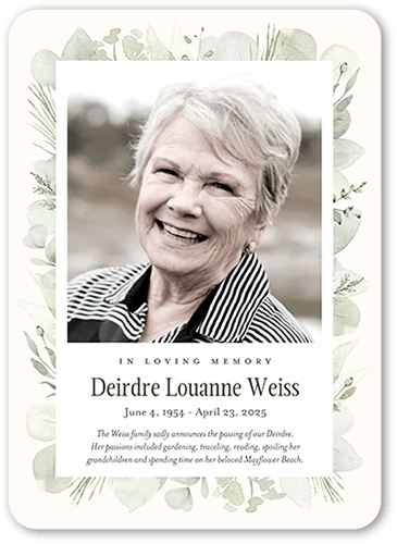 Evergreen Embellishment