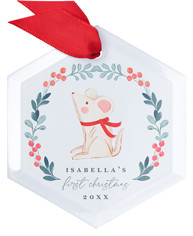 Personalized Baby's First Xmas